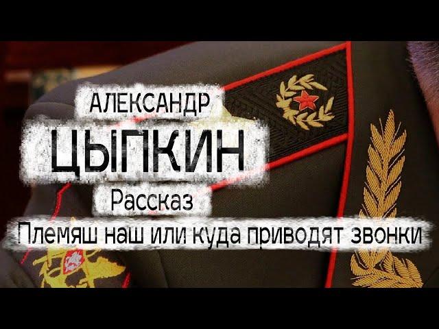 Александр Цыпкин рассказ "Племяш наш, или Куда приводят звонки"