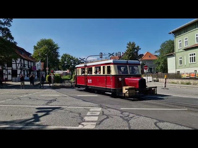 Schweineschnäuzchen T41 des DEV zu Gast in Wernigerode