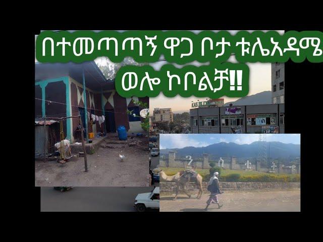 #ስለቦታ ማብራሪያ  ወሎ ኮቦልቻ #ቱሌአዳሜ አሪፍ ቦታ #ውድ እህቶች ብራችሁን አትበሉ የሚጠቅማችሁ #ካልሆነ በቀር