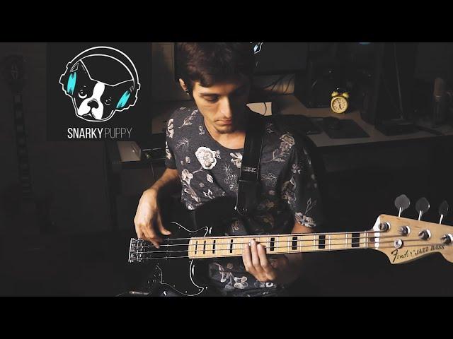 Snarky Puppy - What About me // bass cover