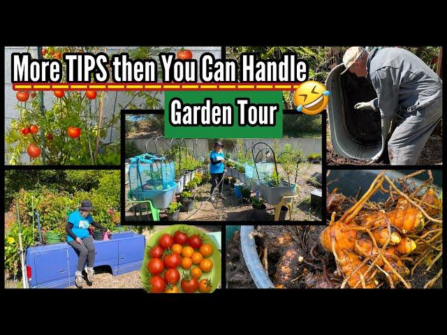 PACKED Garden Tour on Growing Tomatoes Vegetables & More Cheap Raised Bed & Container Gardening