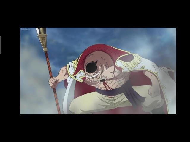 epic moment whitebeard says luffy carries will of D.