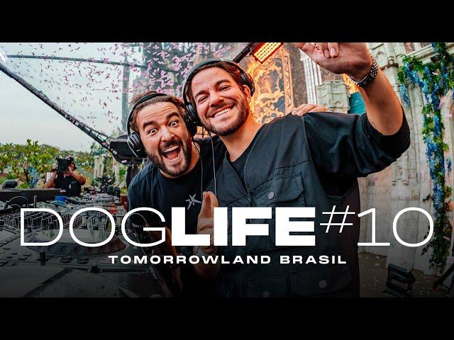 DOGLIFE #10 @ Tomorrowland Brasil