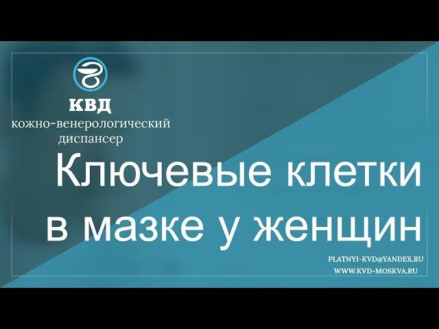 519  Ключевые клетки в мазке у женщин