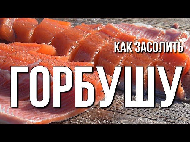 Как засолить горбушу