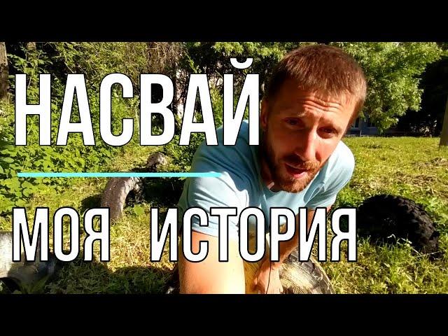 Насвай, что такое насвай, как бросить насвай