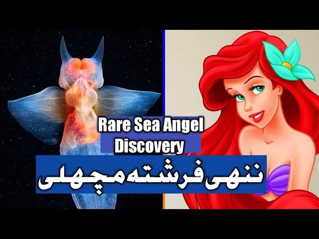 Rare Video of Sea Angel By Alexander Semenov’s II Urdu Subtitle