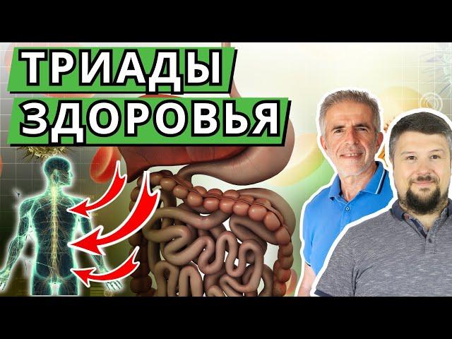 Триады здоровья - 3 компонента и их взаимосвязь. Как сочетаются процессы в теле.