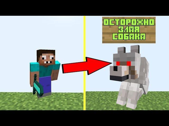 ПРО ПРОТИВ ЗЛАЯ СОБАКА УБИЙЦА В МАЙНКРАФТ ! ПРОФЕССИОНАЛ ЖЕКА В ДЕРЕВНЕ В MINECRAFT ТРОЛЛИНГ МУЛЬТИК