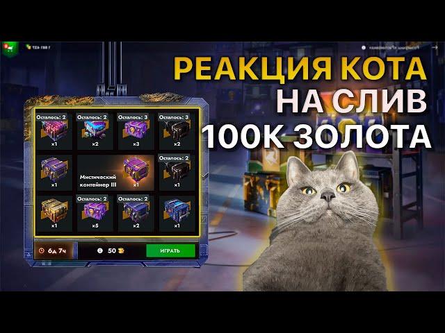 Реакция моего Кота на слив 100 000 золота Tanks Blitz