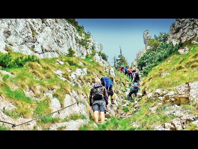 Piatra Craiului Mountains - Crapaturii Valley, Hotarului Draw