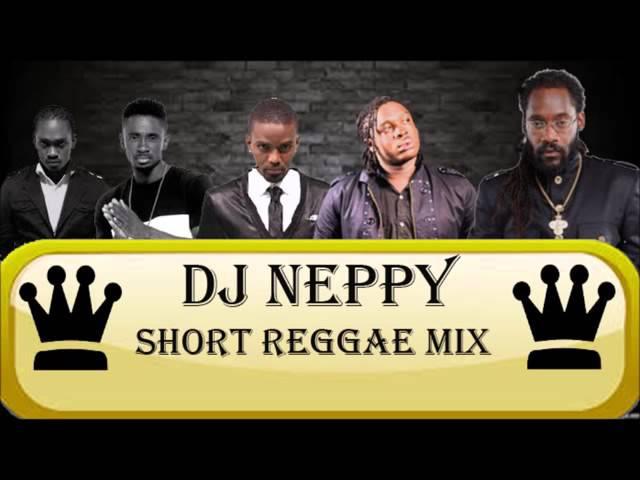 dj neppy reggae mix