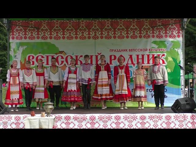 Старшая группа коллектива "Весенние проталинки" Тихвинской ДШИ