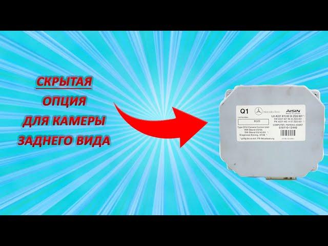 СКРЫТАЯ Опция Камеры 221 Мерседеса, о Которой НИКТО Не Знает! Разобрали ВЕСЬ Салон/ДВА Дня Работы