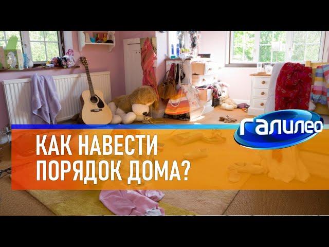 Галилео  Как навести порядок дома?