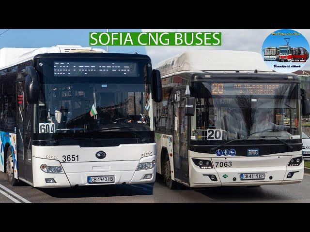 CNG Buses in Sofia Ep. 4 & 5 - Yutong ZK6126HGA & BMC Procity CNG 