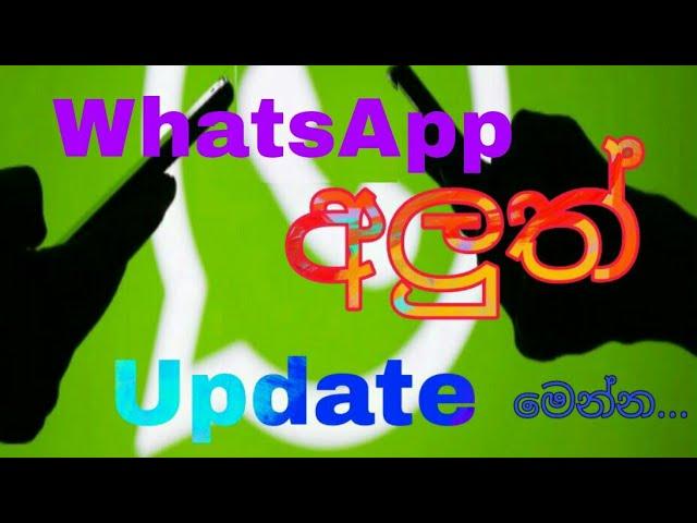 New Update In WhatsApp | 2021 New Privacy Policy Update WhatsApp In Sinhala | WhatsApp Hack Tricks