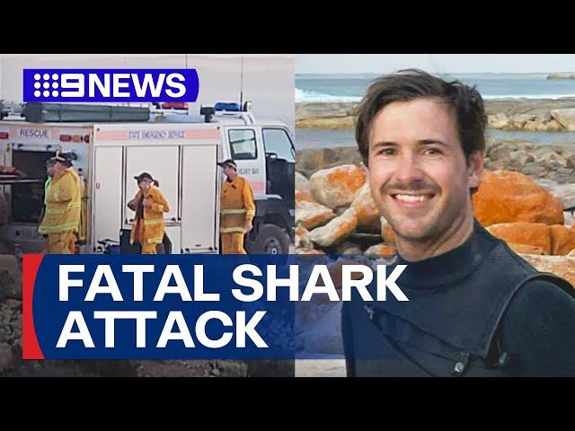 Surfer killed in shark attack in South Australia | 9 News Australia