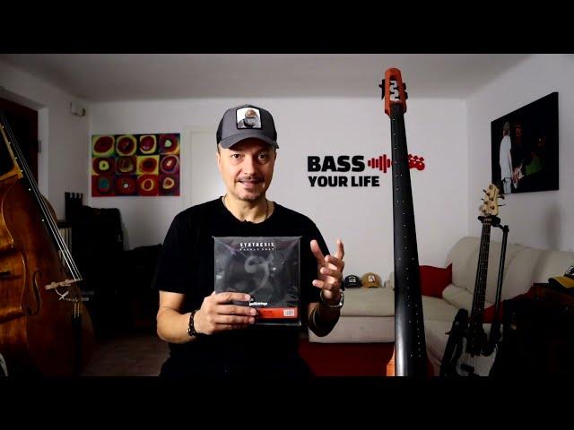 Contrabbasso, CB Elettrico, Fretless e Precision a confronto! Quale preferisci?! #bassyourlife