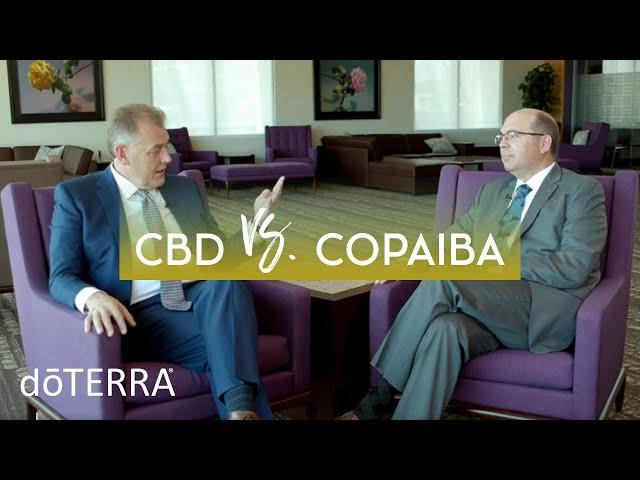 CBD Oil vs Copaiba Oil – Dr. Hill and Dr. O Discuss How CBD and Copaiba Work