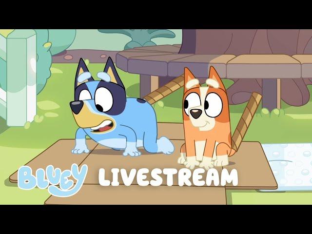 LIVE: Music & Games | Bluey