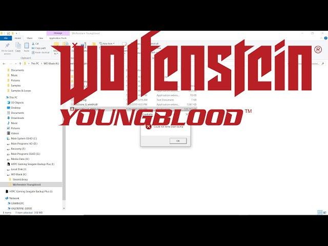 FIXED: WOLFENSTEIN YOUNGBLOOD COULD NOT WRITE CRASH DUMP NVIDIA CARDS