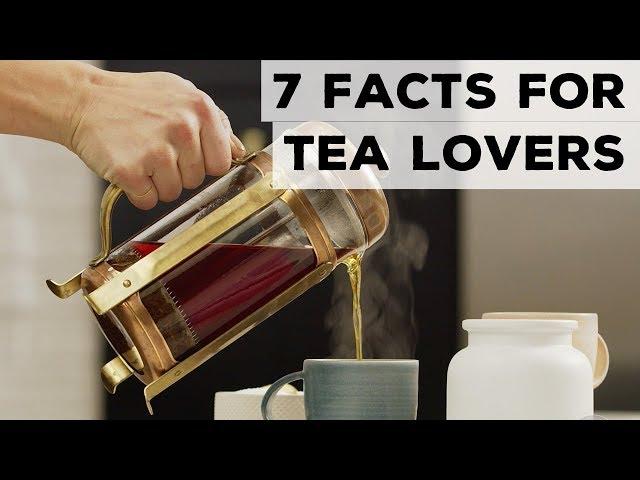 7 Facts for Tea Lovers | Food Network