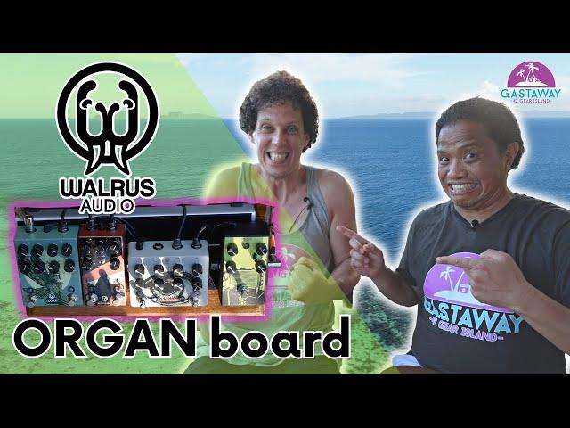 It's an ORGAN board! Walrus Audio Guitar Pedals with @TheGuitarGeek #42gione GAStaway Island