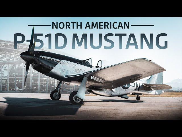 ECHOES OF HISTORY: P-51 MUSTANG ROARS BACK TO LIFE