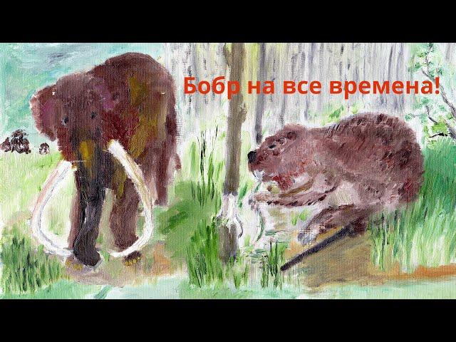 Бобр на все времена! Воронежский заповедник