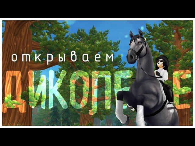 ОТКРЫВАЕМ ДИКОЛЕСЬЕ! STAR STABLE! 