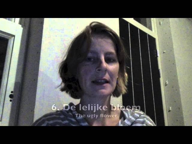 Humanlang: Dutch (The Miracles of Human Language MOOC)