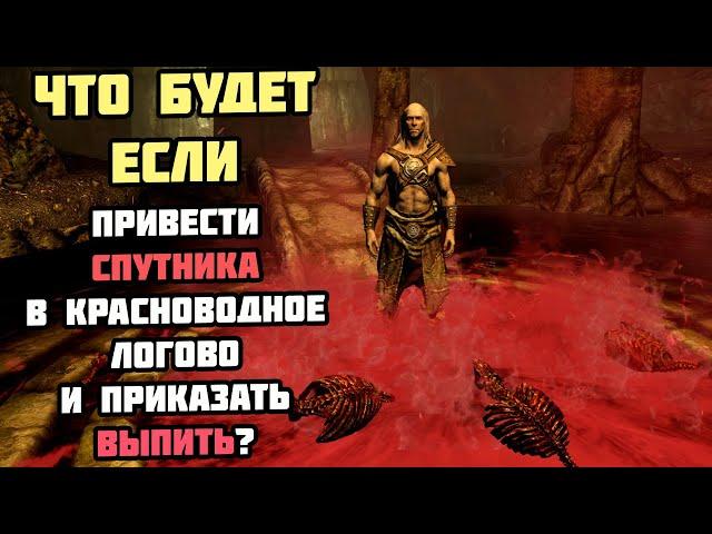 Что Будет Если Привести Спутника в Красноводное Логово? Skyrim Anniversary