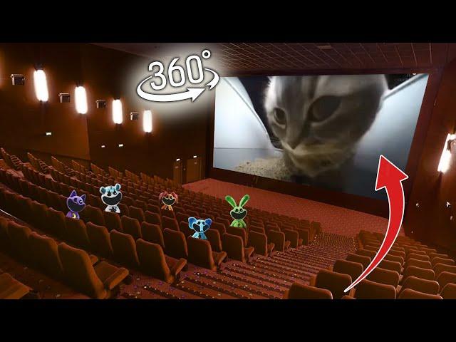 360° CHIPI CHIPI CHAPA CHAPA CAT - In Cinema | 4K VR 360 Video