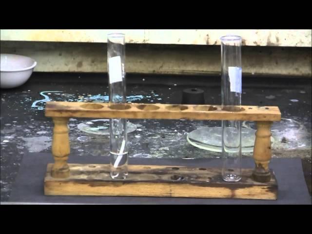 Magnesium metal reacting with concentrated sulfuric acid