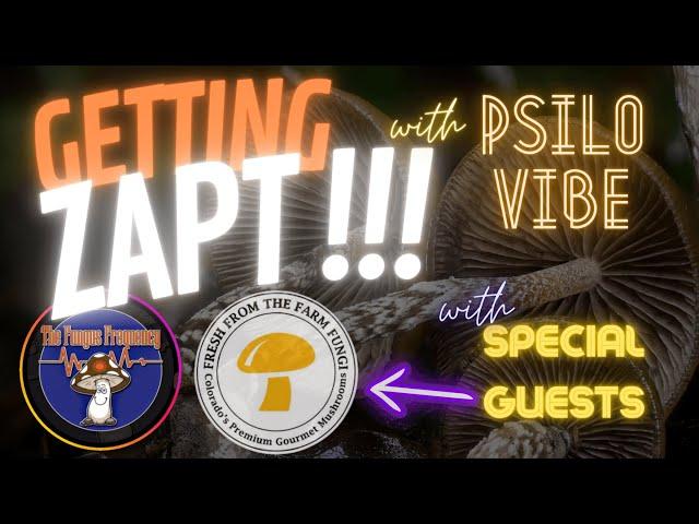 Getting Zapt with PsiloVibe   The MycoGeeky Podcast