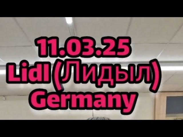 Магазин на Диване В Германии Обзор и рекомендации Lidl (лидыл) Germany ДимкаПлюшка Классные Обзоры