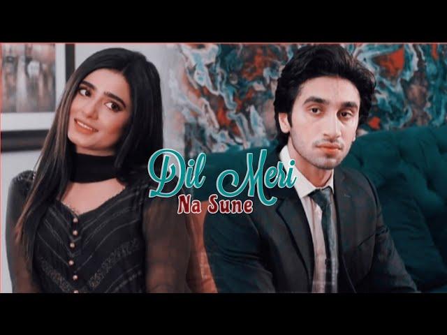 farmeed’s fairytale  dil meri na sune [their story: S1]