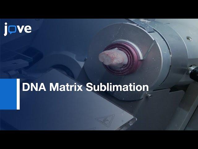 DNA Matrix Sublimation to Visualize Gangliosides for Spectrometry| Protocol Preview