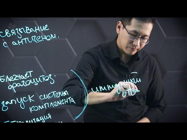 Строение и структура антител. 11 класс.
