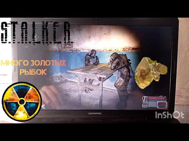 Как получить много золотых рыбок в S.T.A.L.K.E.R. Call of Pripyat