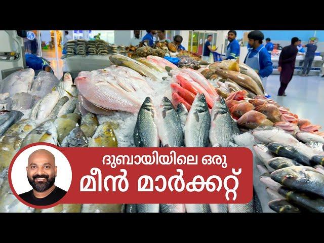 ദുബായിയിലെ ഒരു മീൻ മാർക്കറ്റ് | Deira Fish Market | Dubai Waterfront Market