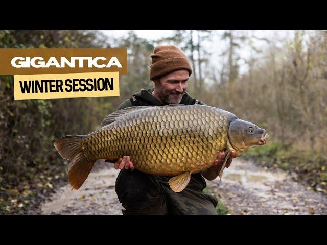 Gigantica Winter Session | Extract