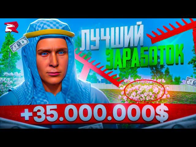 ЛУЧШИЙ ЗАРАБОТОК 35.ООО.ООО$ В ЧАС НА РОДИНА РП В GTA SA