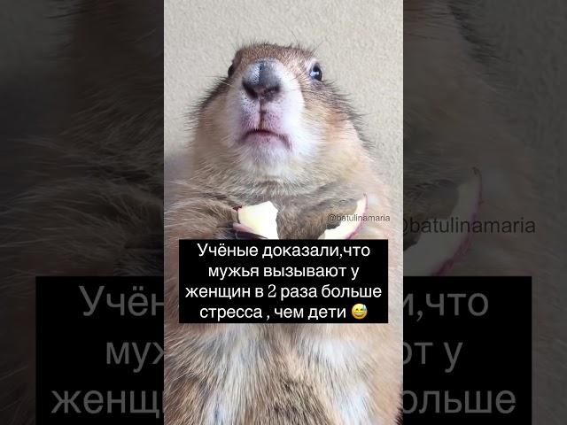 Учёные доказали  #видеоприколы #юмор #смехпродлеваетжизнь #humourmemes #мем #смешновидео #прикол