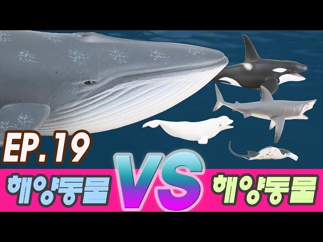 [Ko] #19 공룡싸움 해양동물 VS 해양동물 (marine animal vs marine animal) kids education, Collecta figure