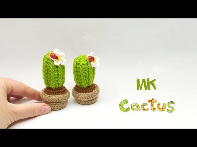 SUPER IDEA KNITTED BABY CACTUS crochet amigurumi . Super easy pattern