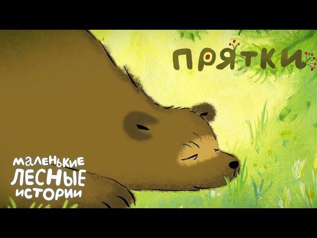 Маленькие лесные истории  Прятки  Новая серия