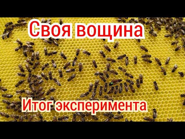 Своя вощина. Стоит ли заморачиваться?