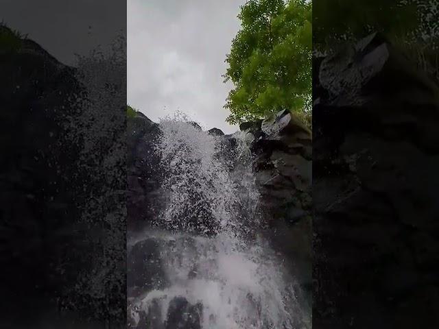 #barish
